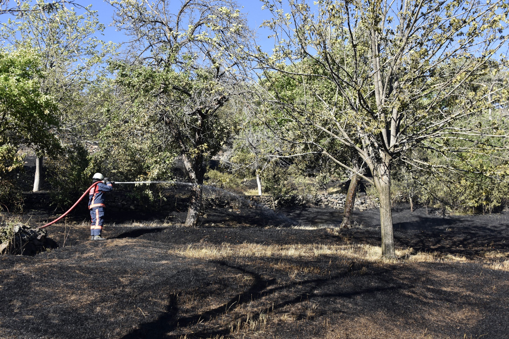 Gümüşhane'deki yangında bahçeler küle döndü 30