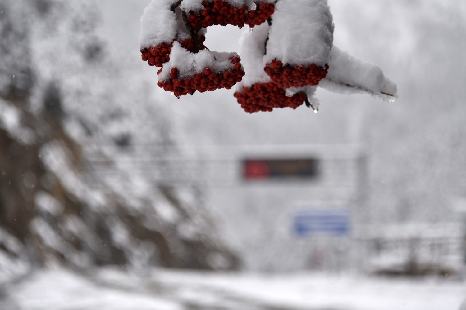 Zigana Dağı 26 Ekim'de beyaz gelinliğini giydi 24