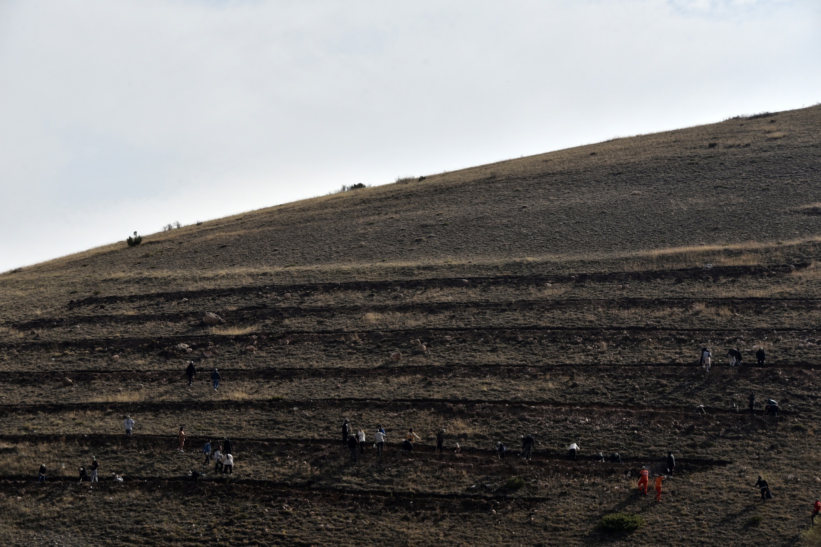 Ömer Dede için 2 bin 23 fidan toprakla buluştu 19