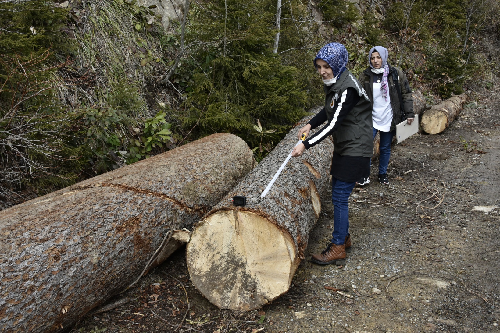 Ellerinin hamuruyla ormanları koruyorlar 13