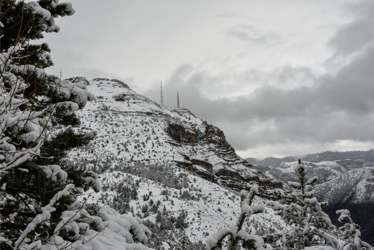 Kadınlar günü için zorlu yürüyüş 12