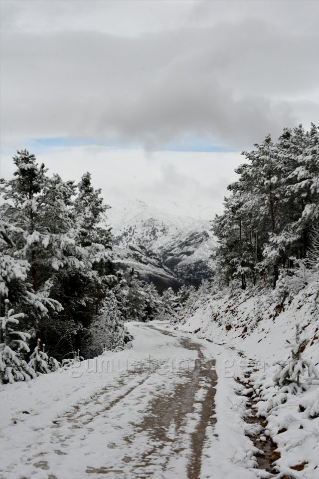 Kadınlar günü için zorlu yürüyüş 13