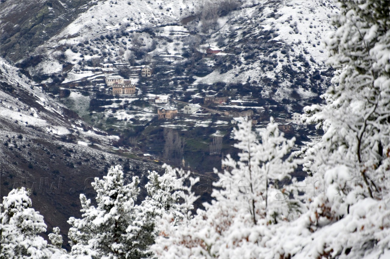 Kadınlar günü için zorlu yürüyüş 14