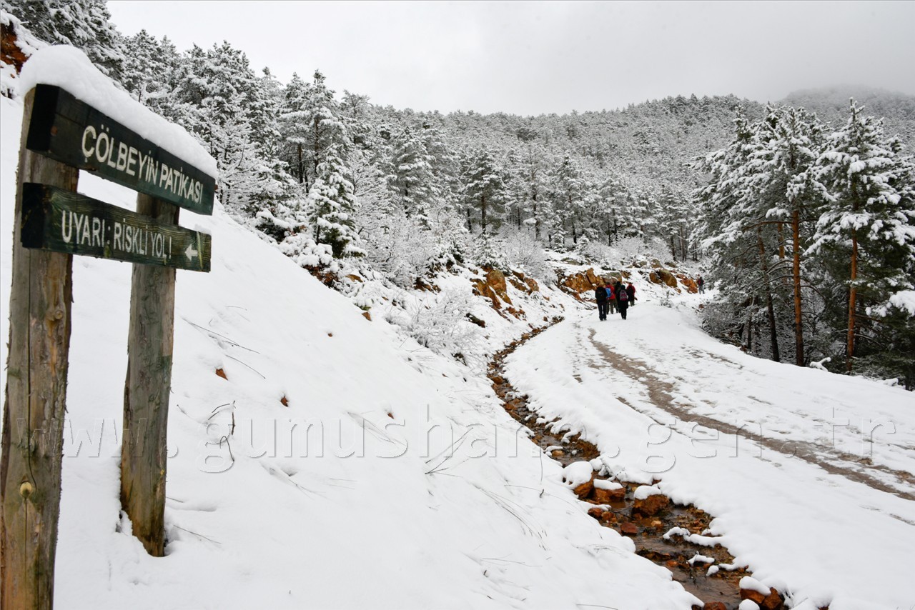 Kadınlar günü için zorlu yürüyüş 15