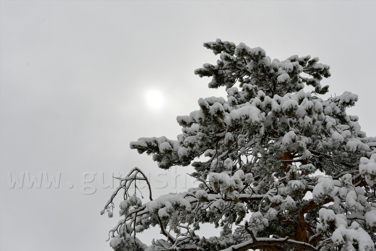 Kadınlar günü için zorlu yürüyüş 16