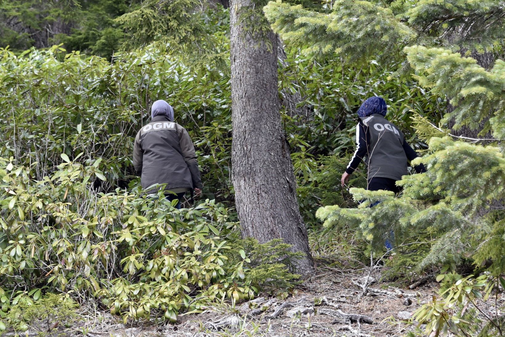 Ellerinin hamuruyla ormanları koruyorlar 15