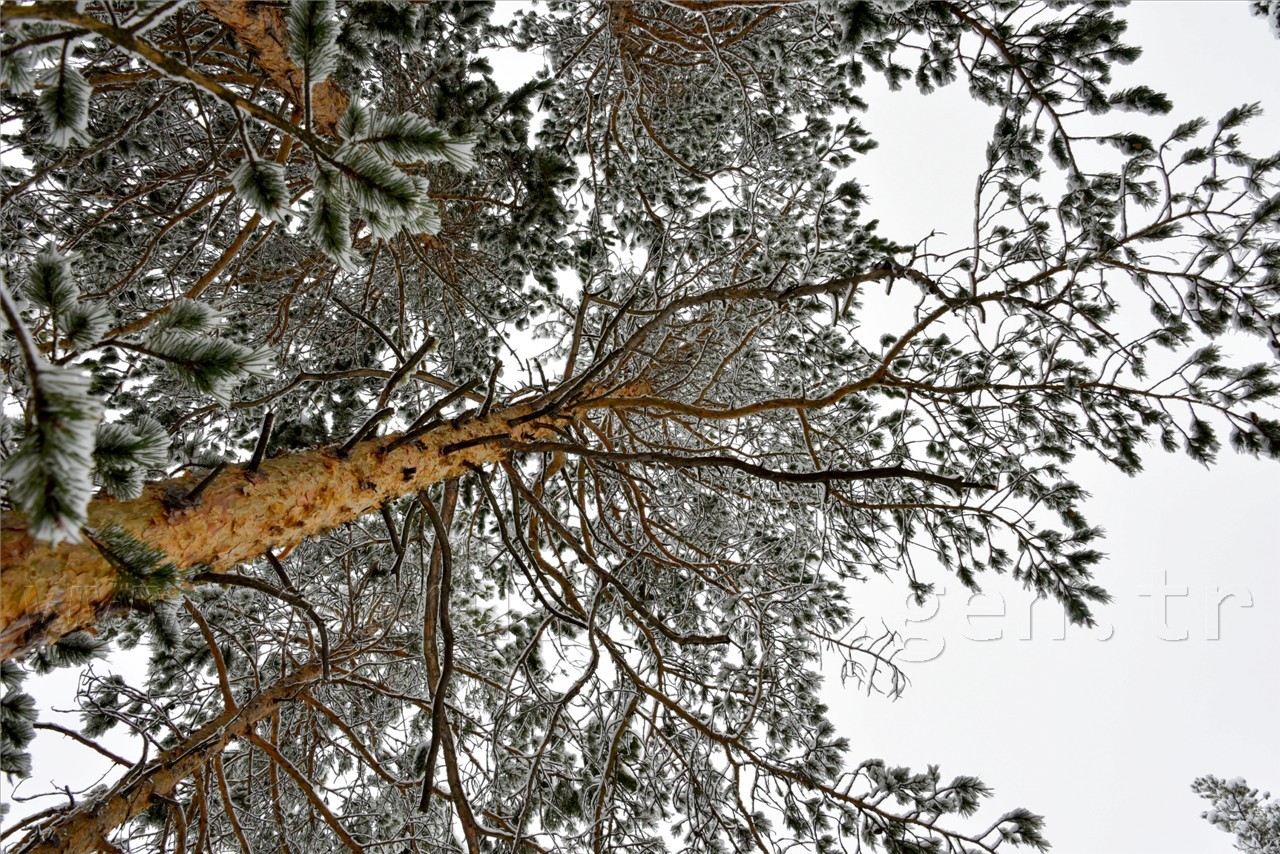 Kadınlar günü için zorlu yürüyüş 27