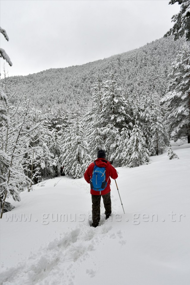 Kadınlar günü için zorlu yürüyüş 28