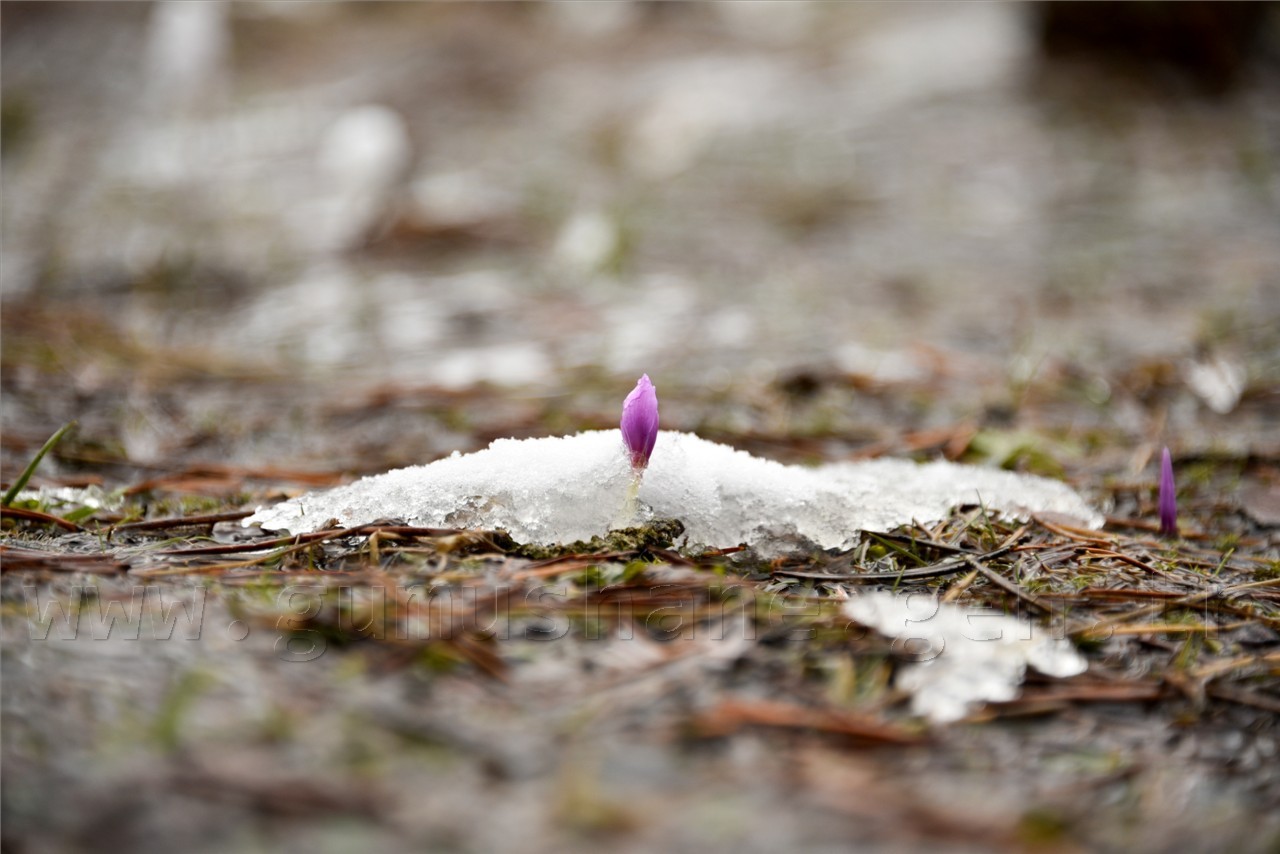 Kadınlar günü için zorlu yürüyüş 32