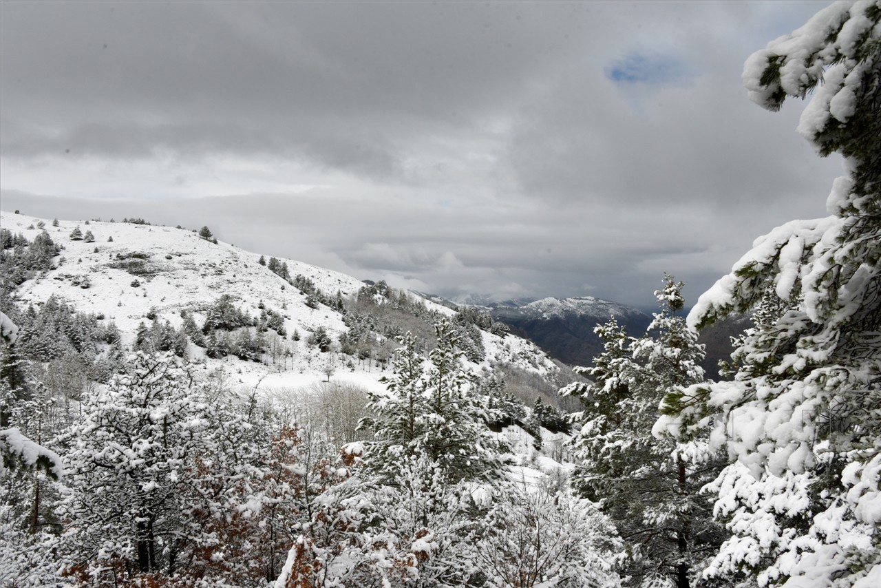 Kadınlar günü için zorlu yürüyüş 35