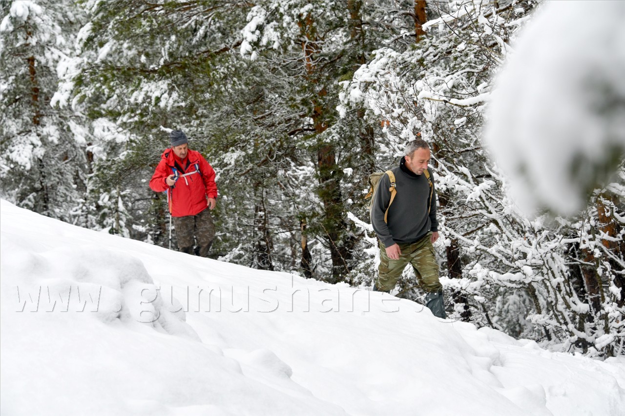 Kadınlar günü için zorlu yürüyüş 41