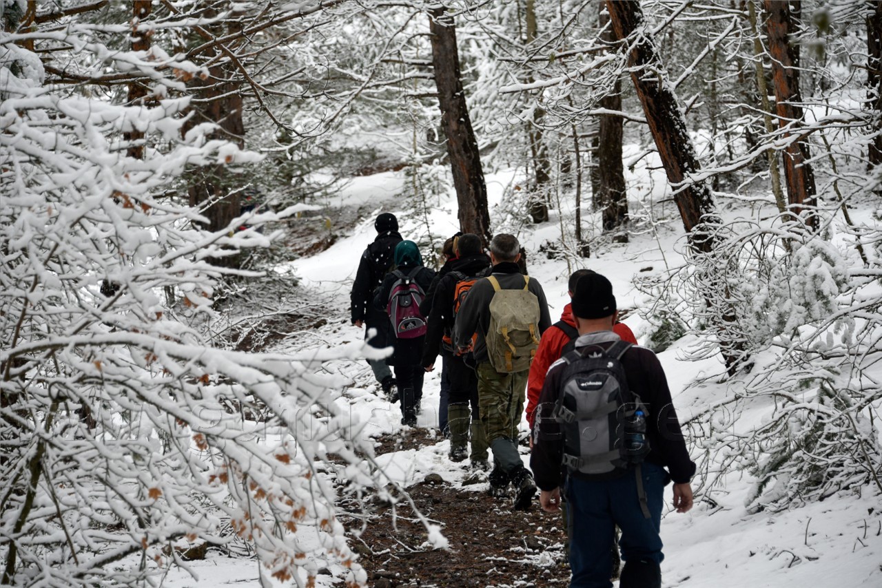 Kadınlar günü için zorlu yürüyüş 42