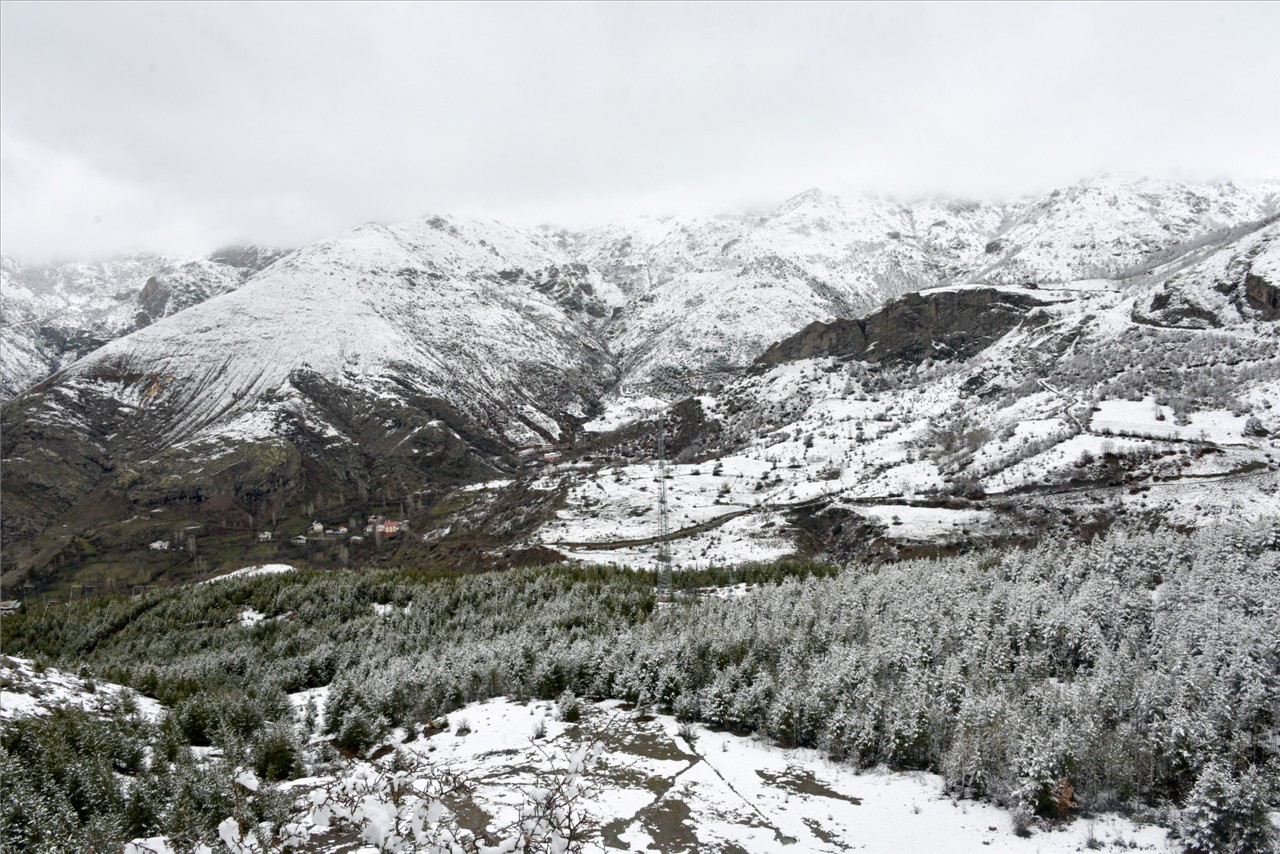 Kadınlar günü için zorlu yürüyüş 44