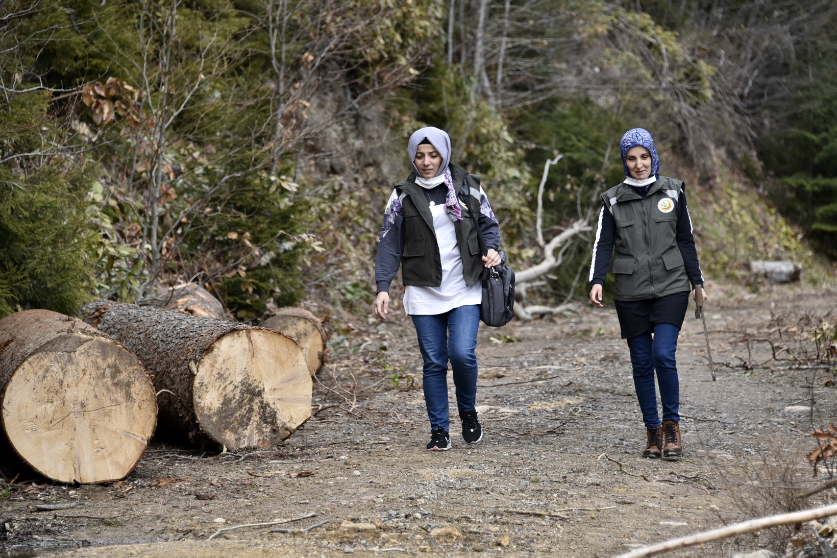 Ellerinin hamuruyla ormanları koruyorlar 12