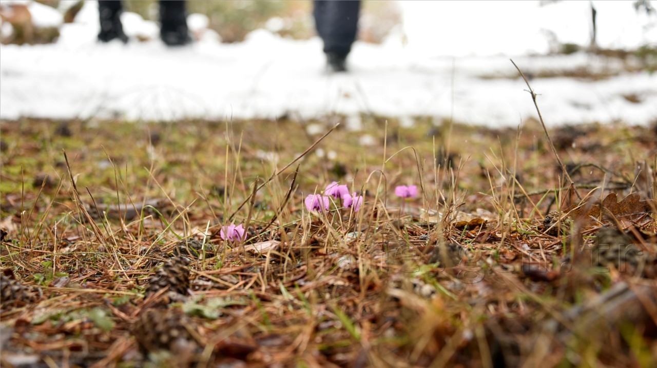 Kadınlar günü için zorlu yürüyüş 49