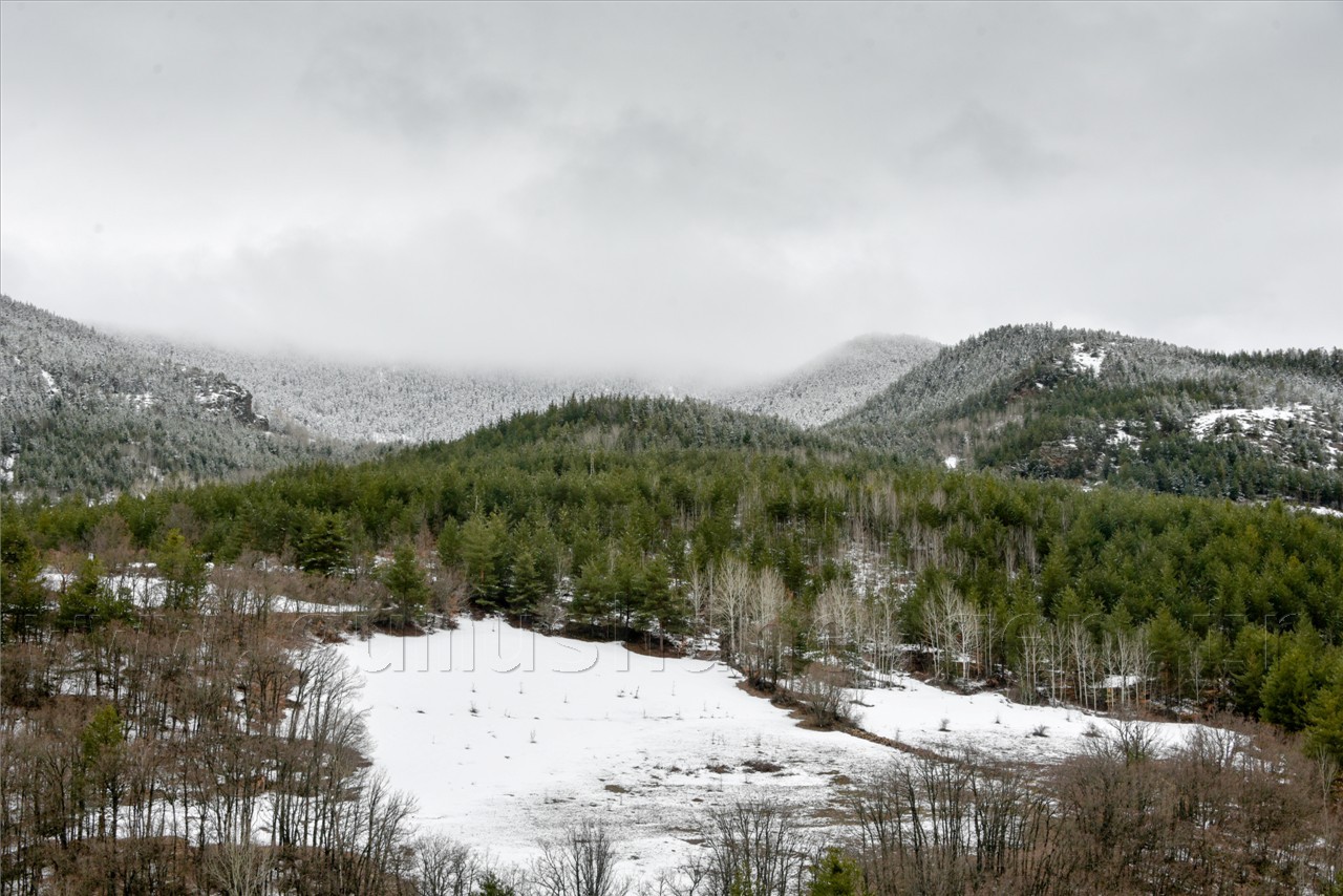 Kadınlar günü için zorlu yürüyüş 56