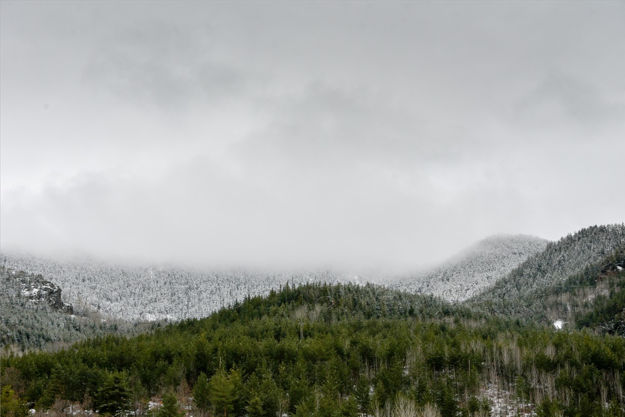 Kadınlar günü için zorlu yürüyüş 57