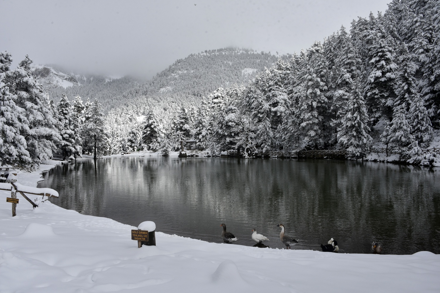 Limni Gölü beyaz cenneti andırıyor 4