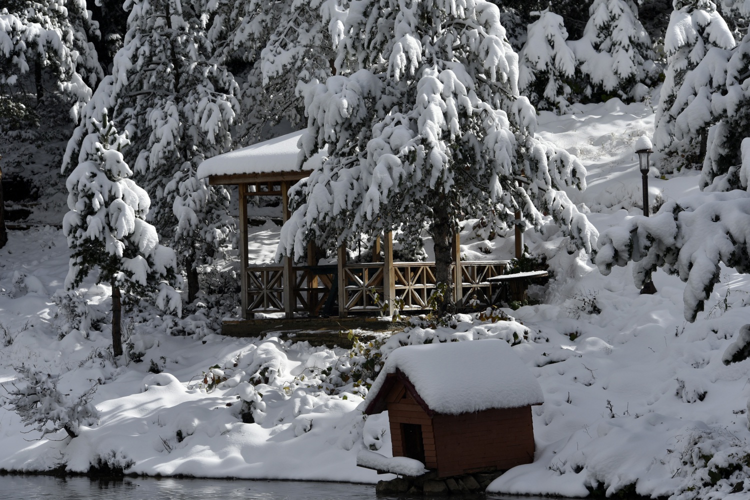 Limni Gölü beyaz cenneti andırıyor 5