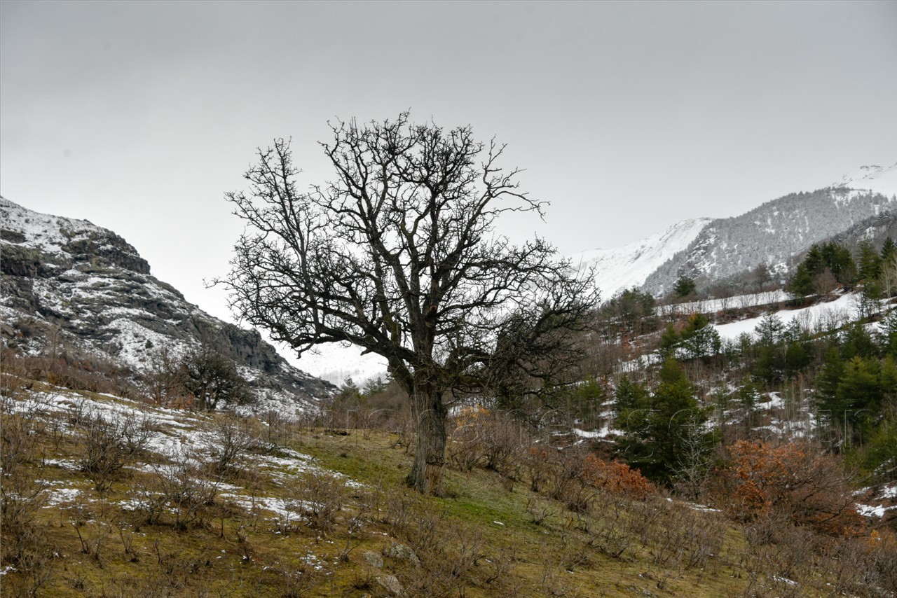 Kadınlar günü için zorlu yürüyüş 62