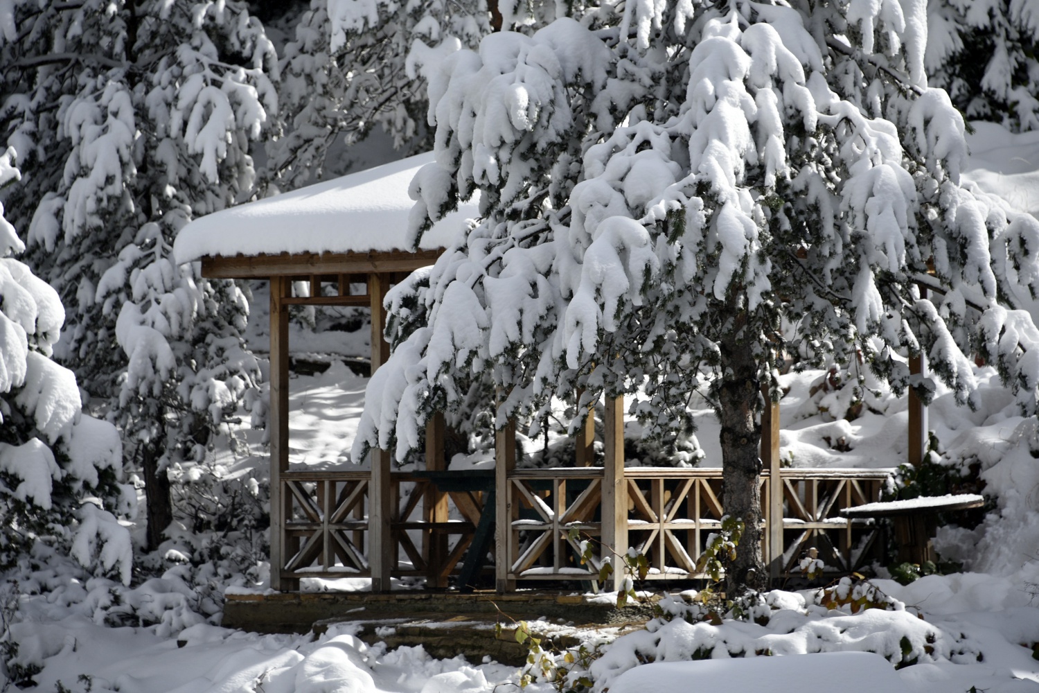 Limni Gölü beyaz cenneti andırıyor 1