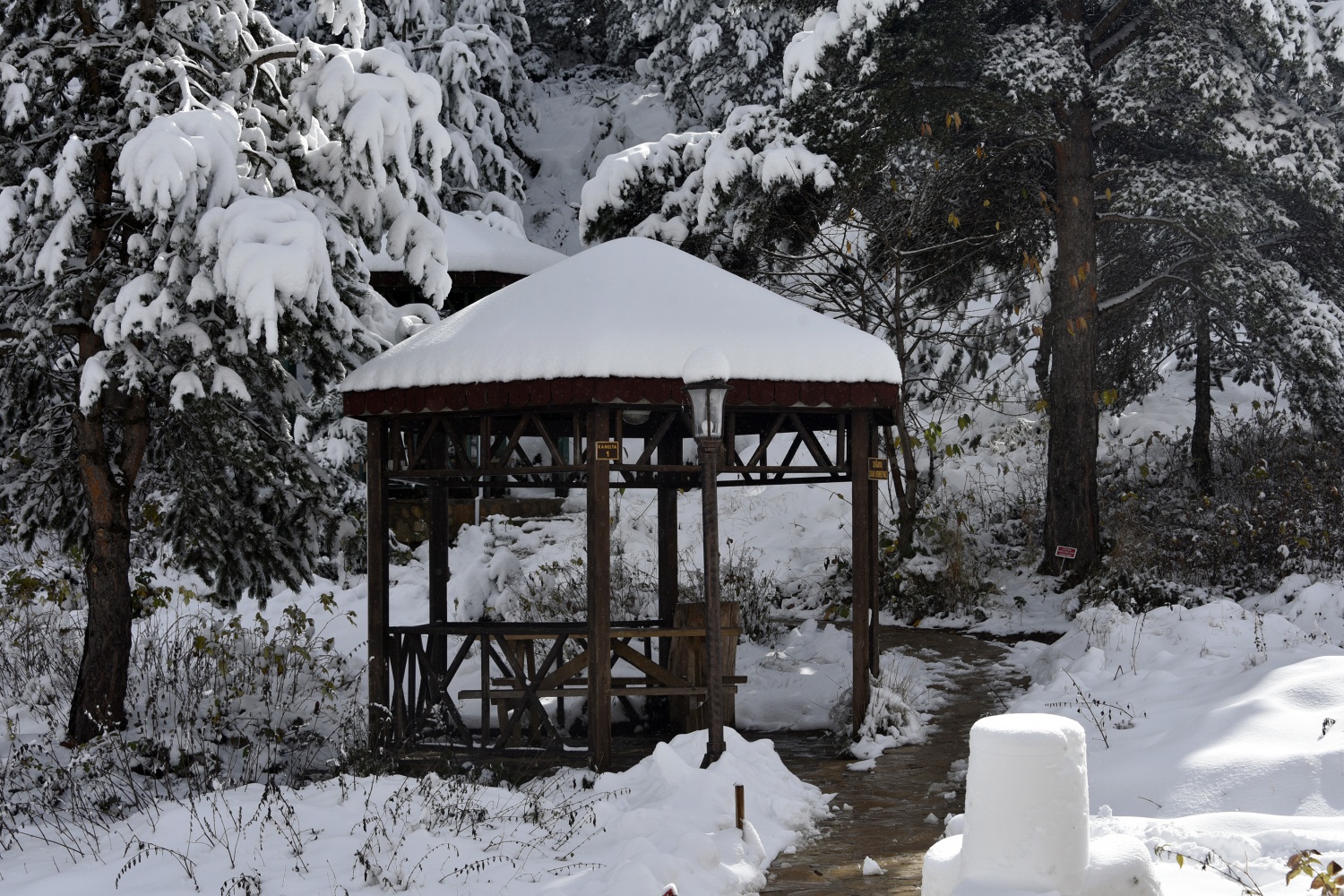 Limni Gölü beyaz cenneti andırıyor 7