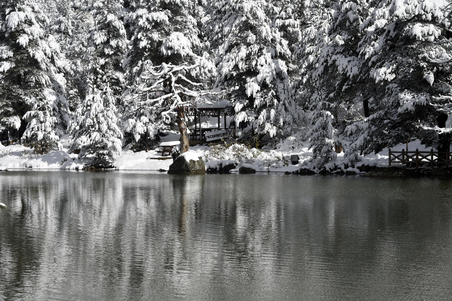 Limni Gölü beyaz cenneti andırıyor 9
