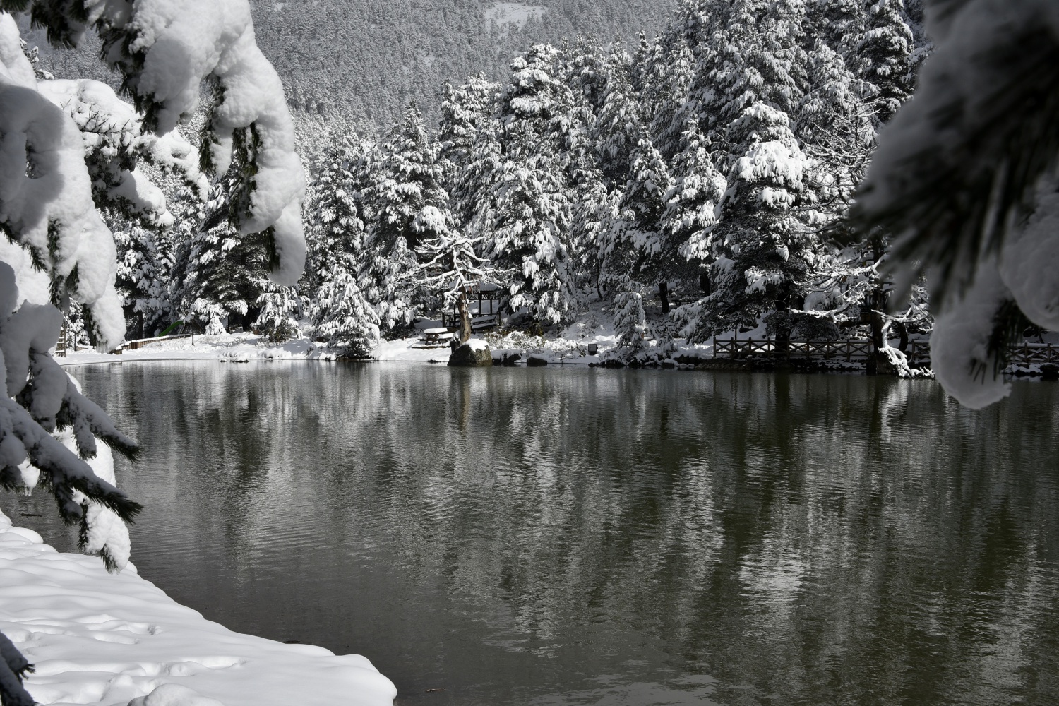 Limni Gölü beyaz cenneti andırıyor 10