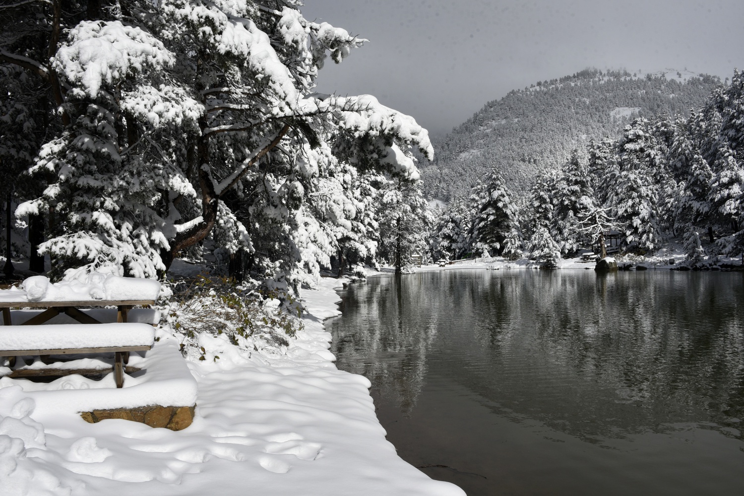 Limni Gölü beyaz cenneti andırıyor 11