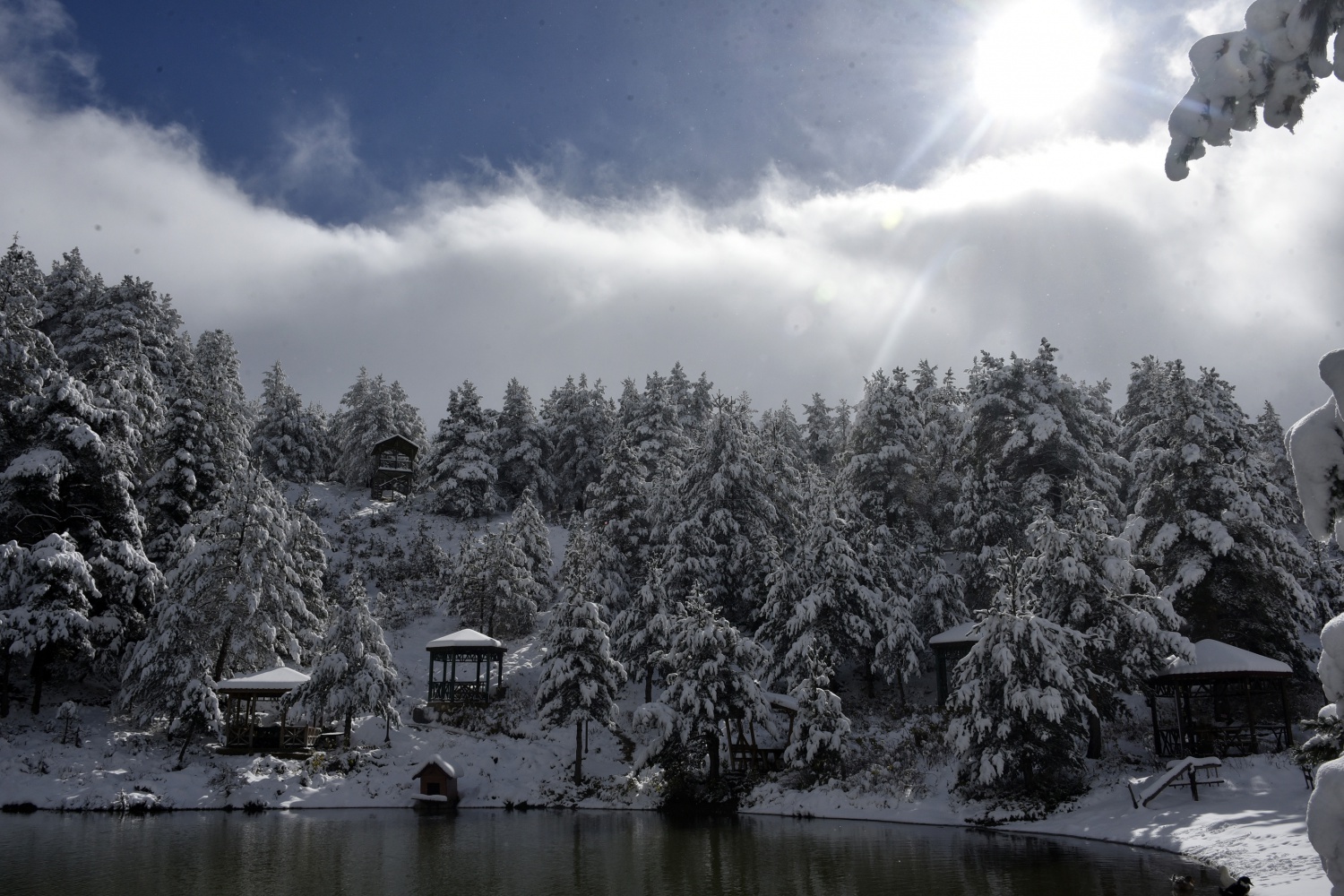 Limni Gölü beyaz cenneti andırıyor 13