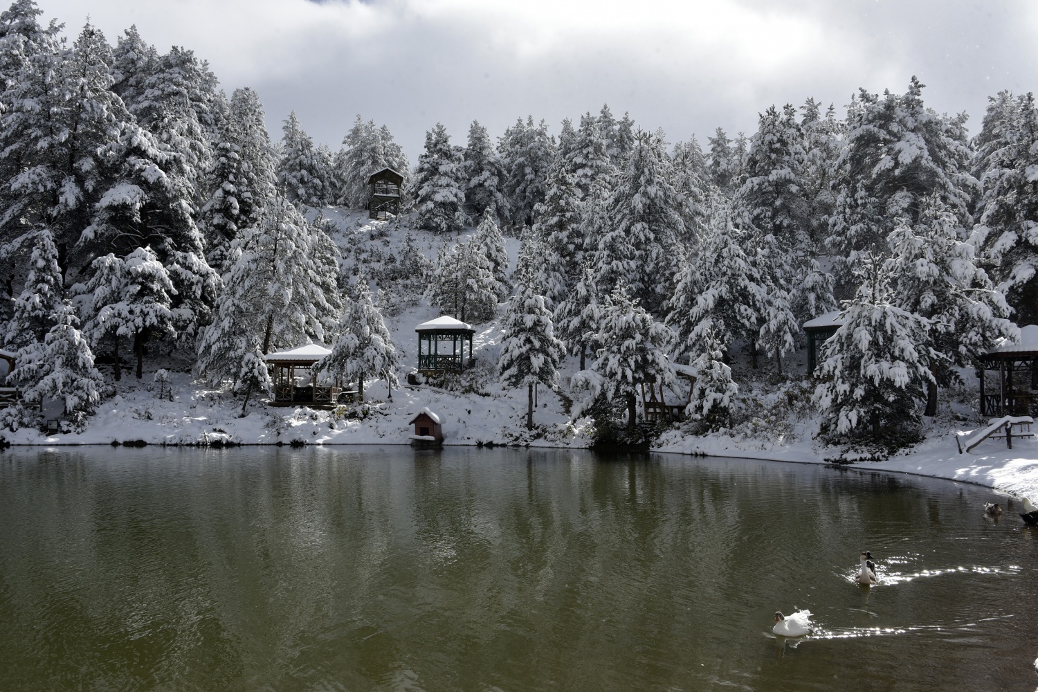 Limni Gölü beyaz cenneti andırıyor 12