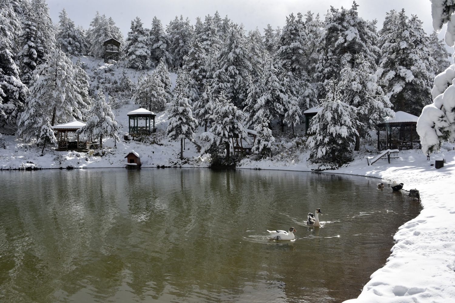 Limni Gölü beyaz cenneti andırıyor 18