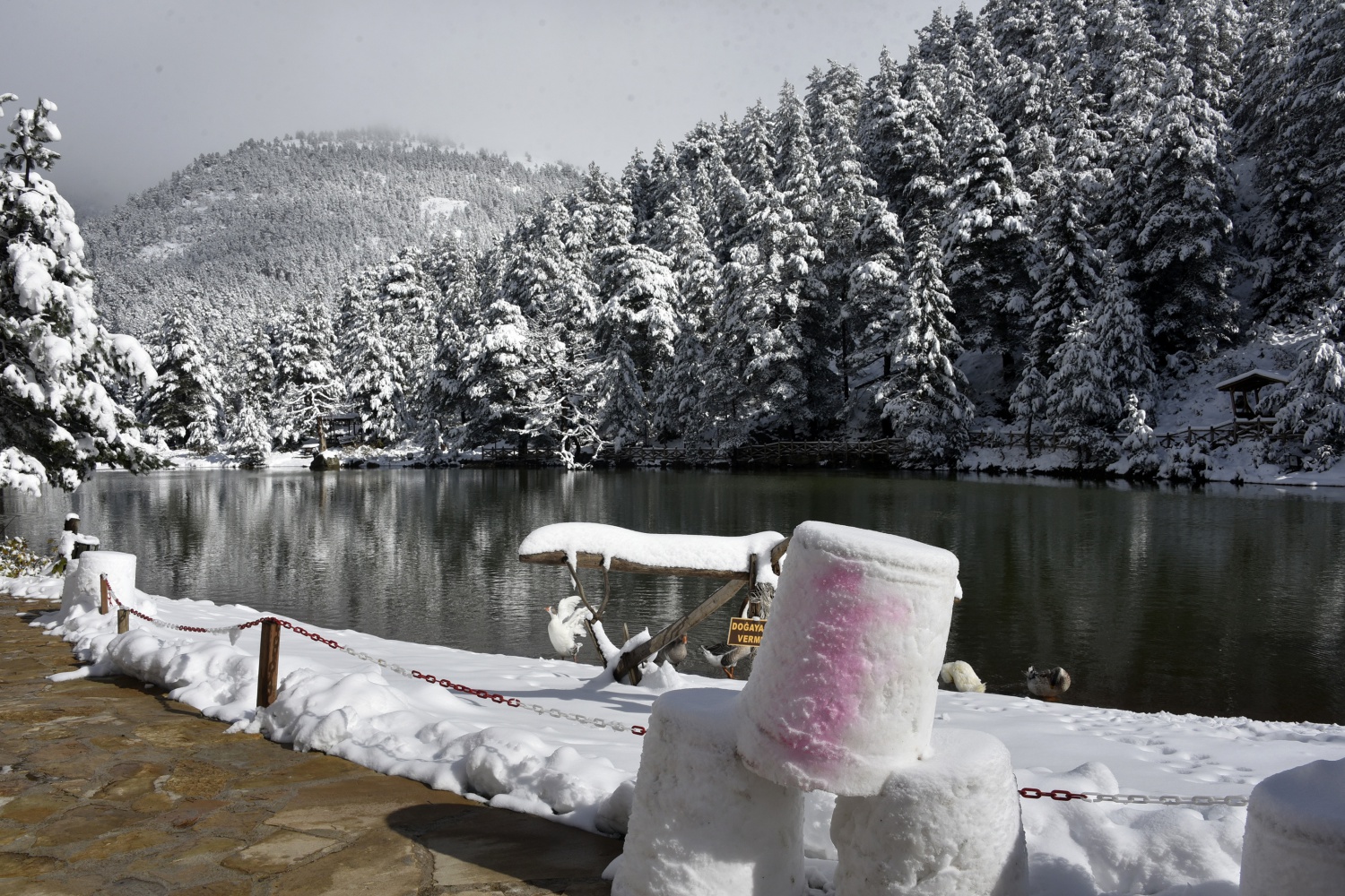 Limni Gölü beyaz cenneti andırıyor 14