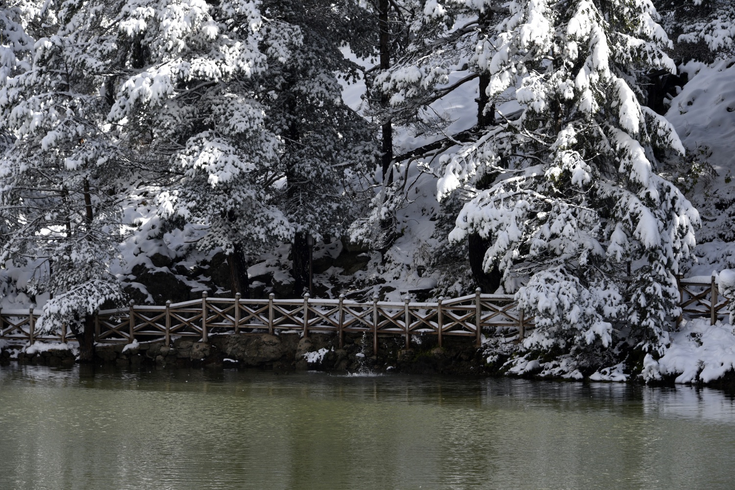 Limni Gölü beyaz cenneti andırıyor 16