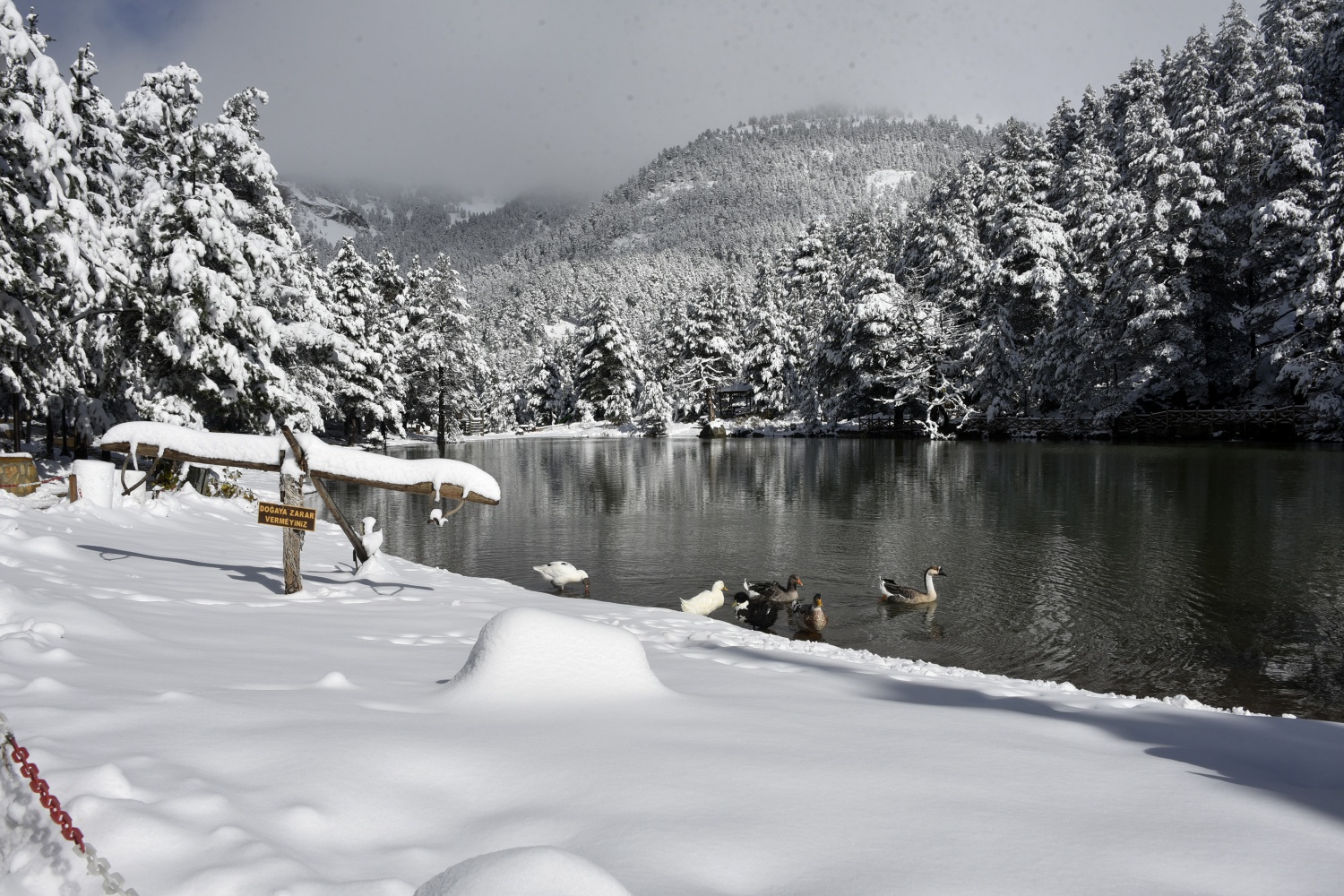 Limni Gölü beyaz cenneti andırıyor 17