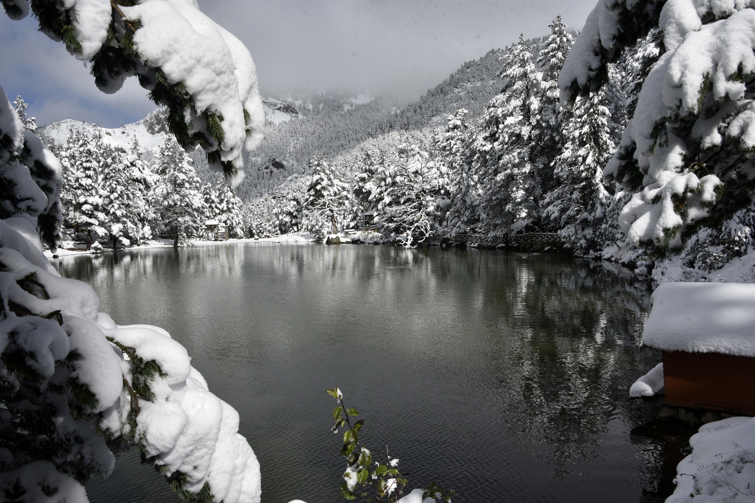 Limni Gölü beyaz cenneti andırıyor 22