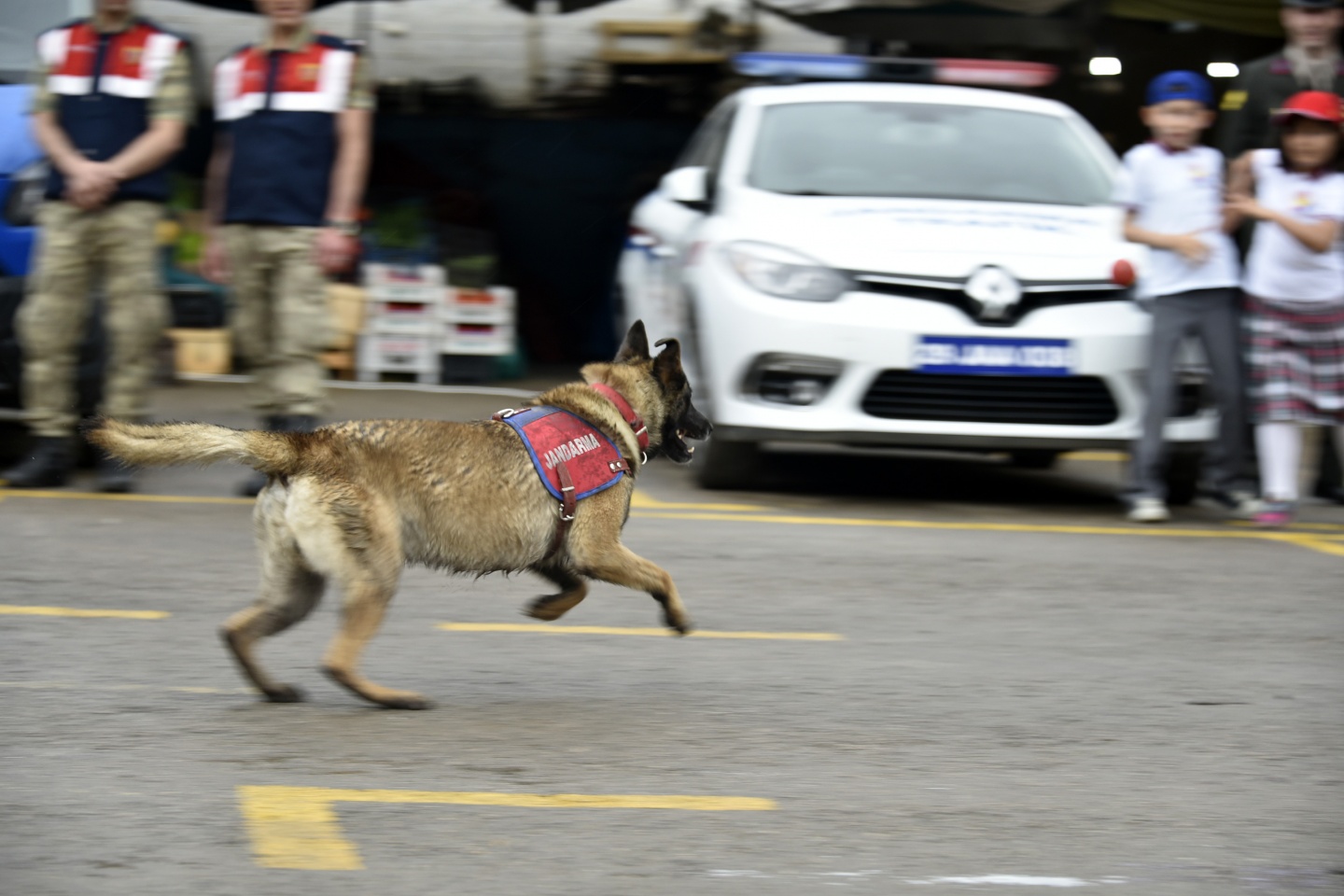 Gümüşhane’de Jandarma’nın 178.kuruluş yıldönümü kutlandı 29