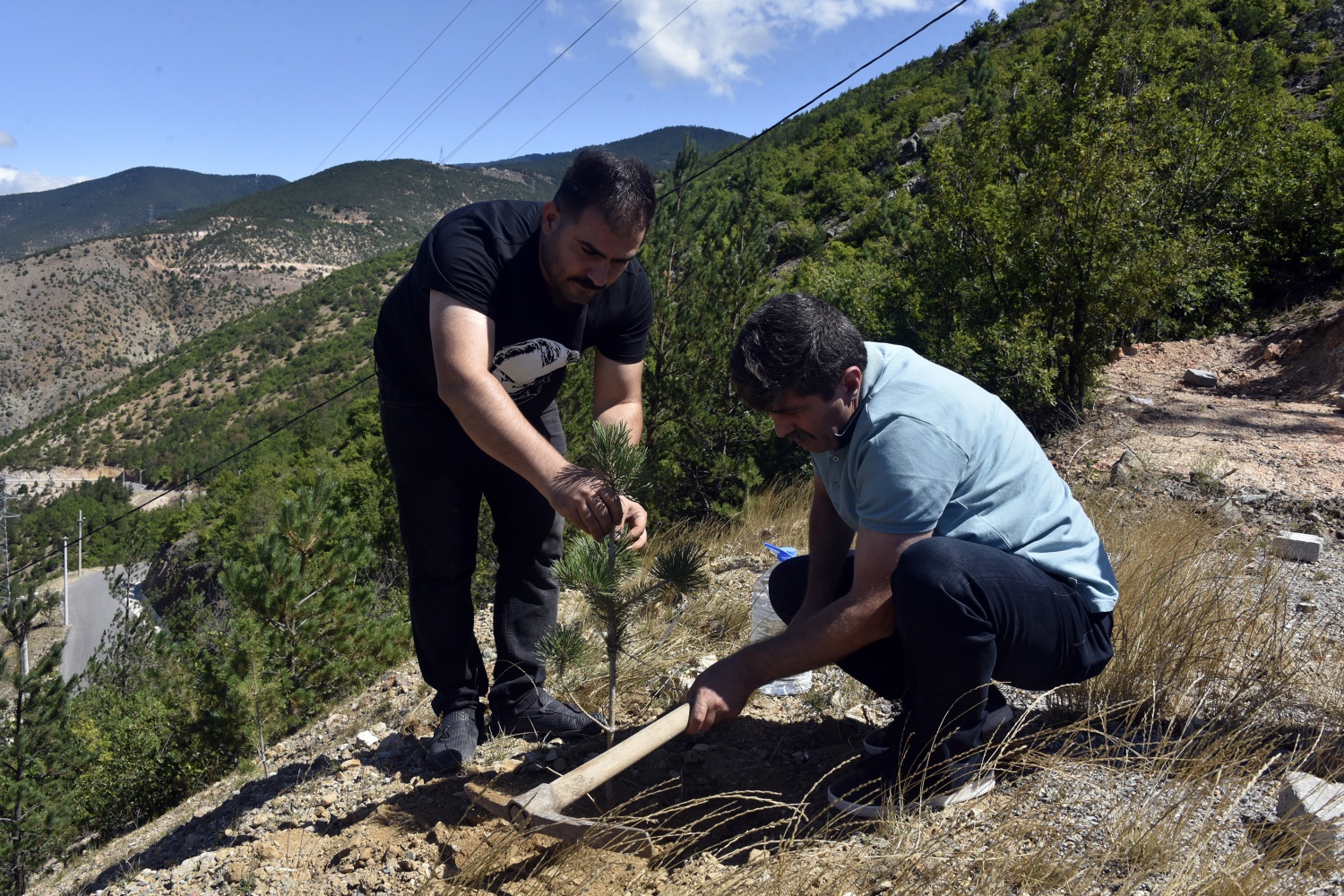 Bu ilçede her doğan bebek için fidan dikiliyor 10
