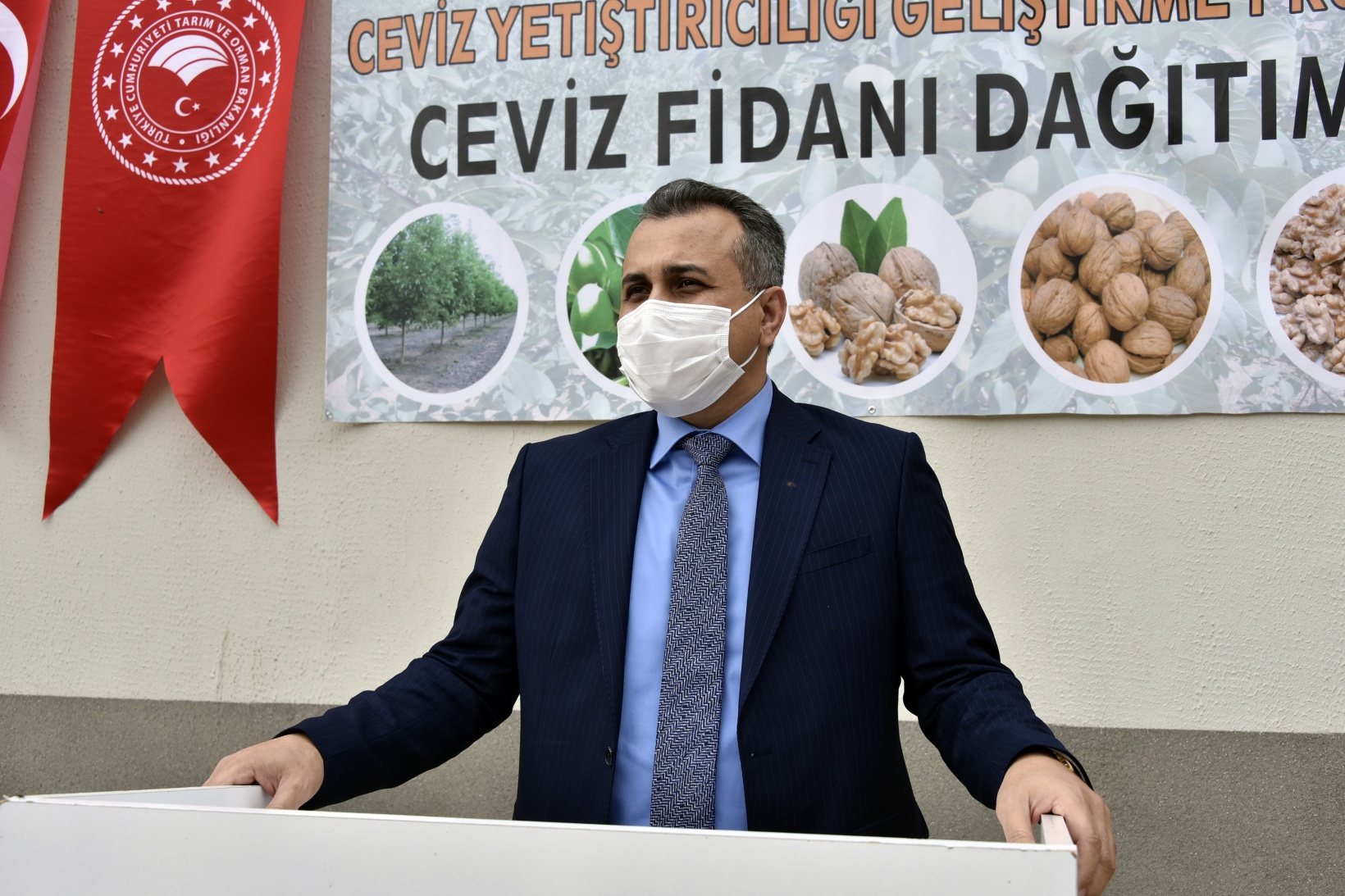 Gümüşhane’de üreticilere 5 bin 600 ceviz fidanı dağıtıldı 3