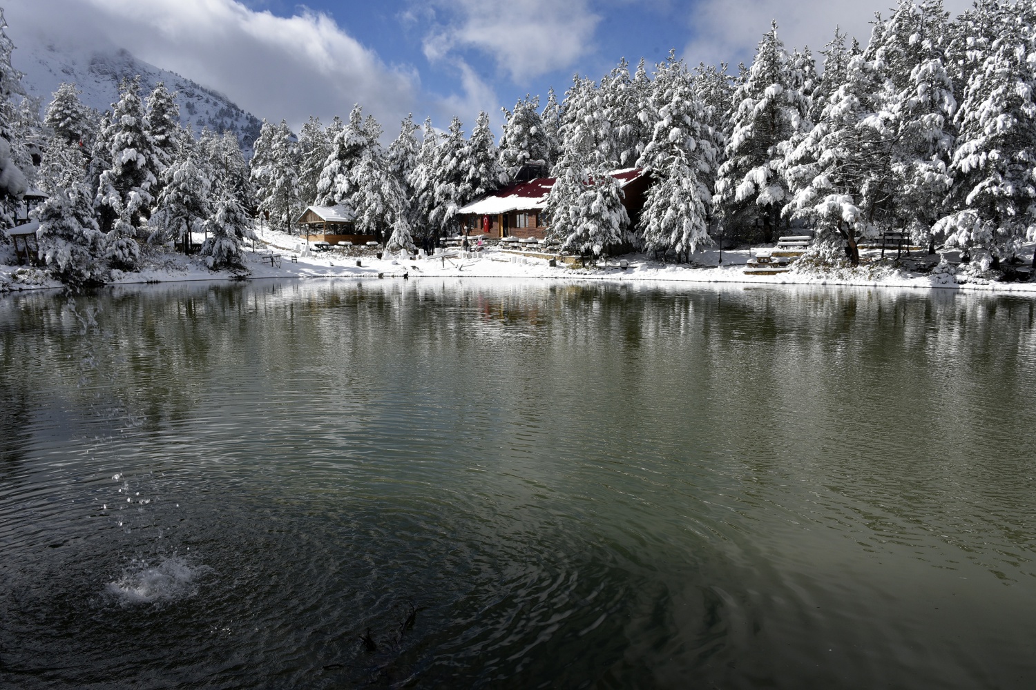 Limni Gölü beyaz cenneti andırıyor 26