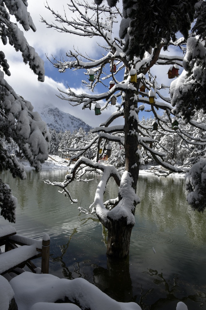 Limni Gölü beyaz cenneti andırıyor 27