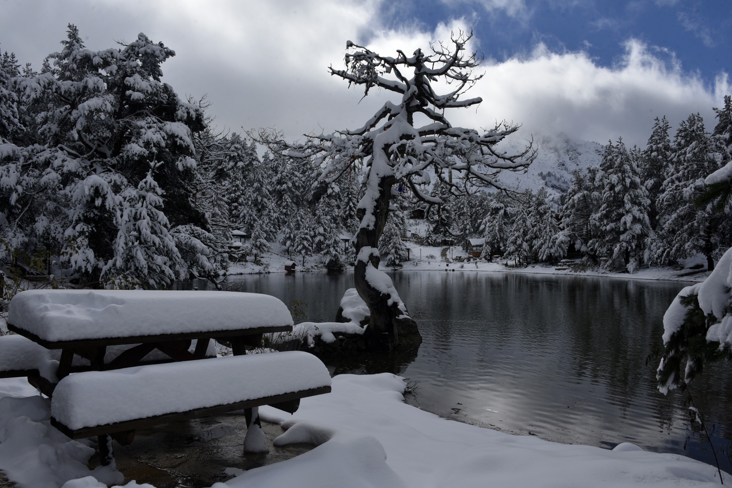 Limni Gölü beyaz cenneti andırıyor 25