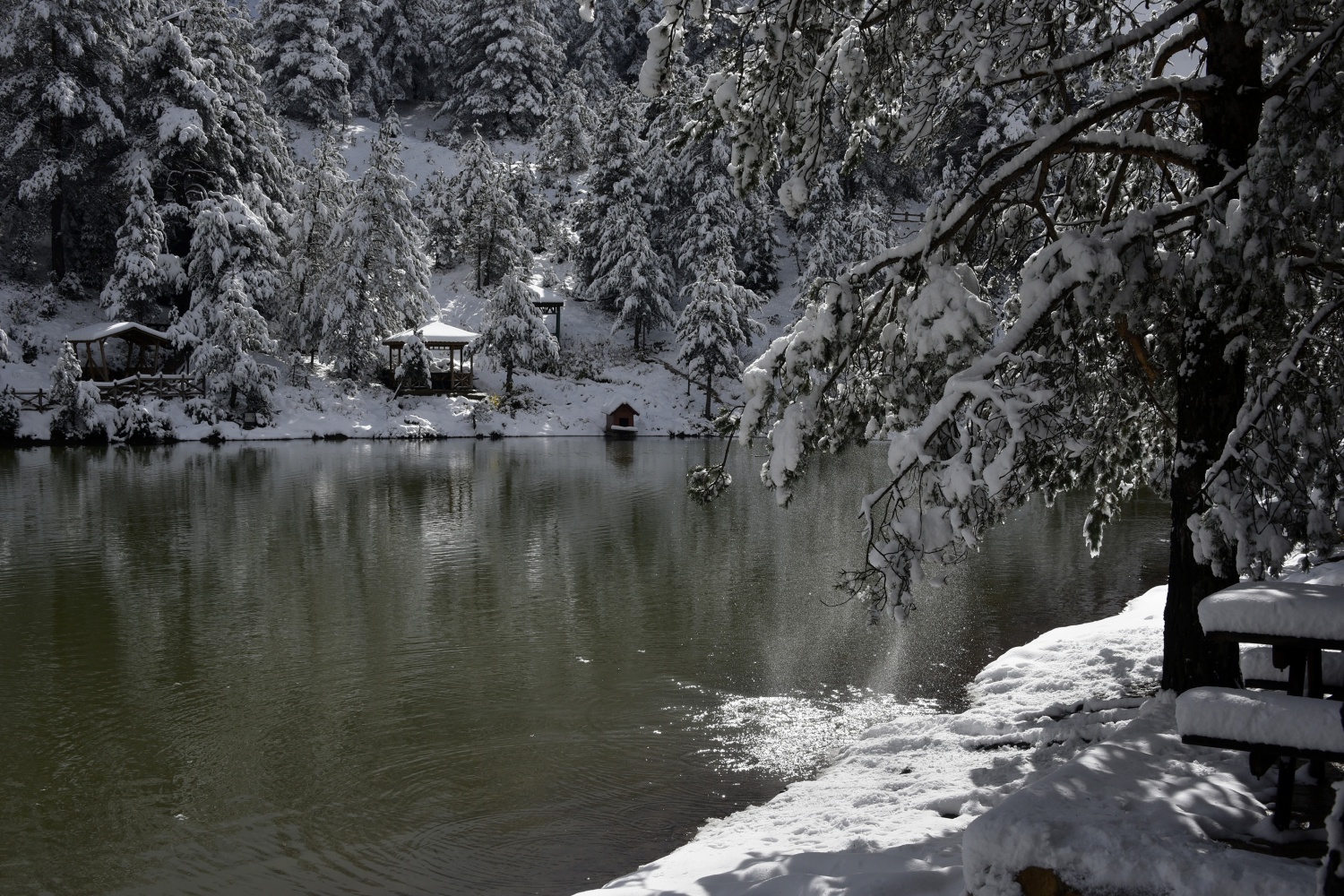 Limni Gölü beyaz cenneti andırıyor 30