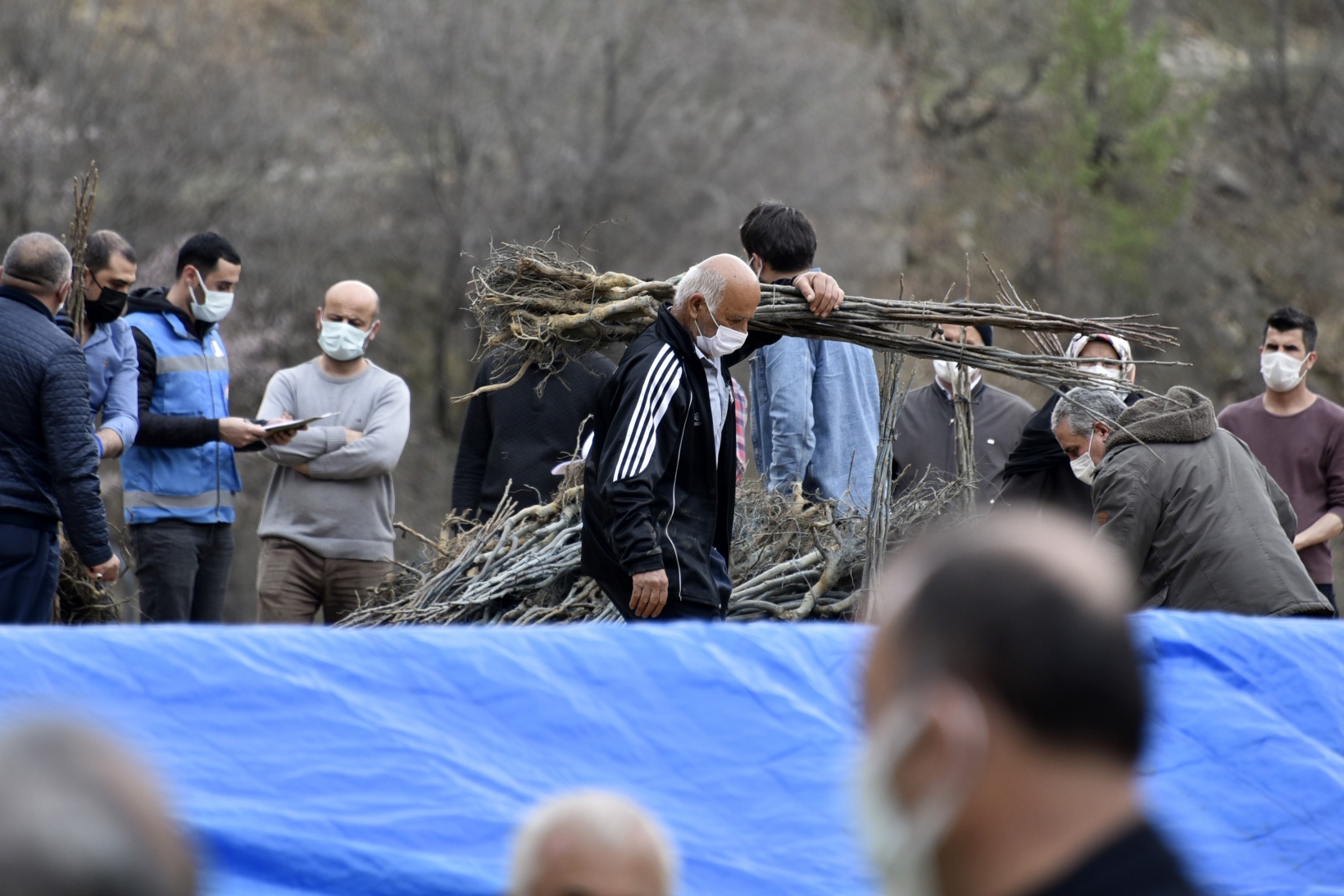 Gümüşhane’de üreticilere 5 bin 600 ceviz fidanı dağıtıldı 7
