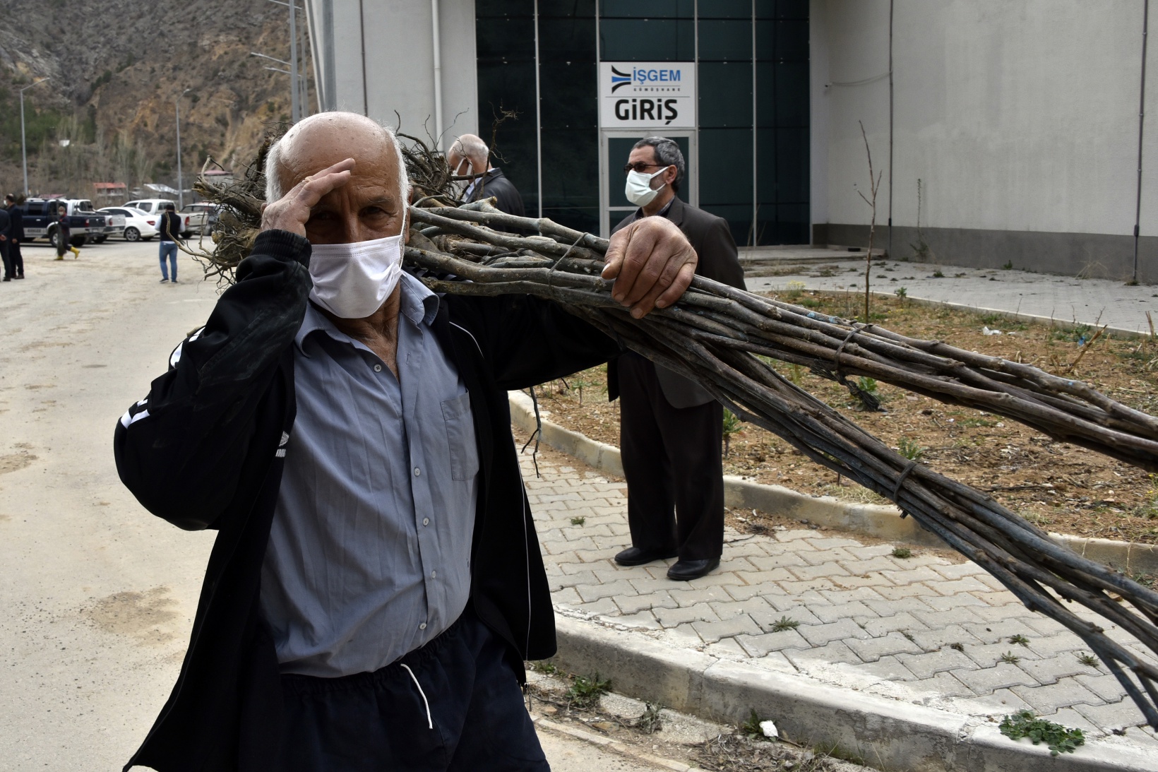 Gümüşhane’de üreticilere 5 bin 600 ceviz fidanı dağıtıldı 11