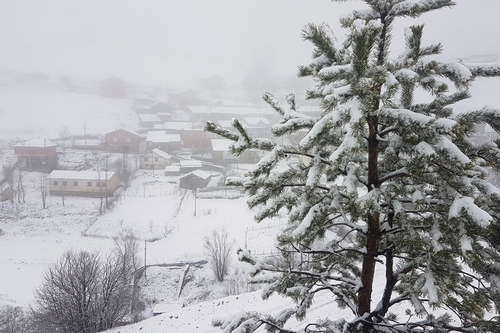 Gümüşhane'nin yüksek kesimlerinde kar yağışı başladı 8