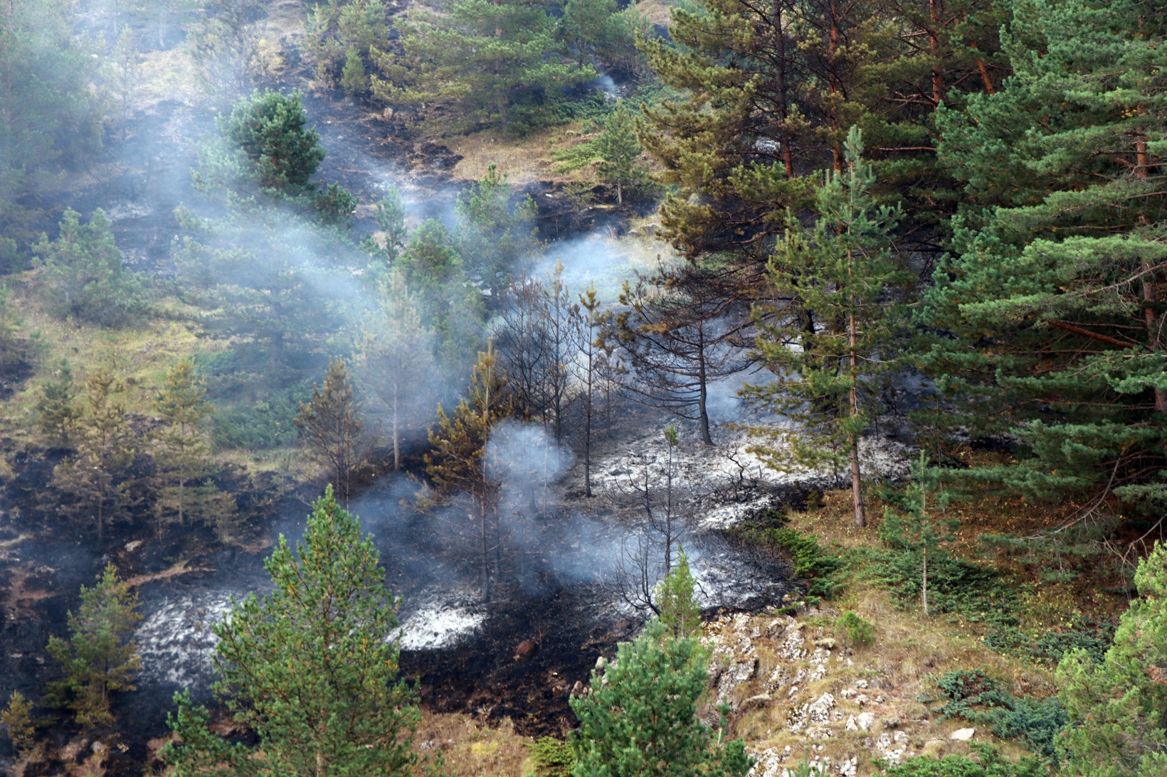 Gümüşhane’de orman ve örtü yangını 12