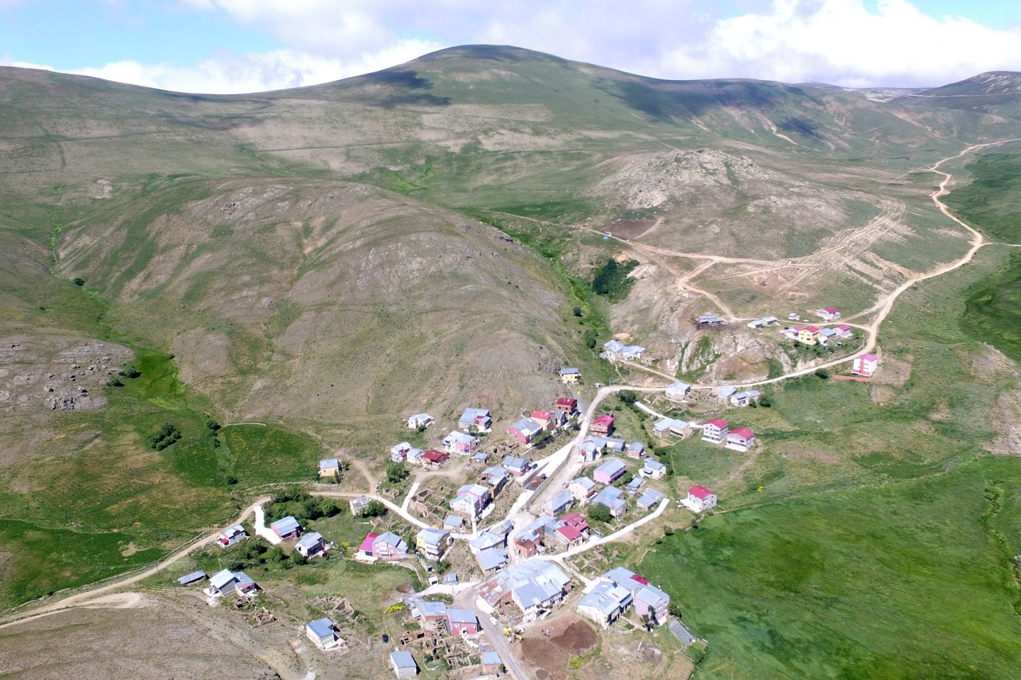 Ağaçsız köyün ağaç sevdası  1