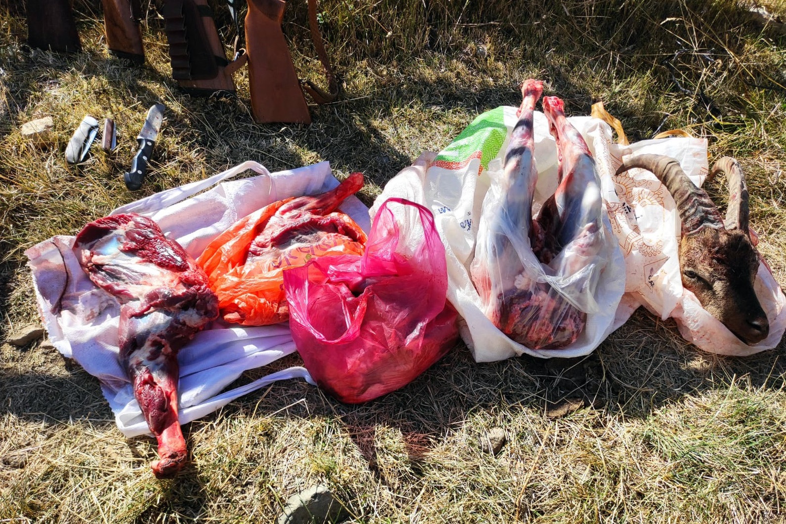 Artabel’de yaban keçisi avlayanlar suçüstü yakalandı 3