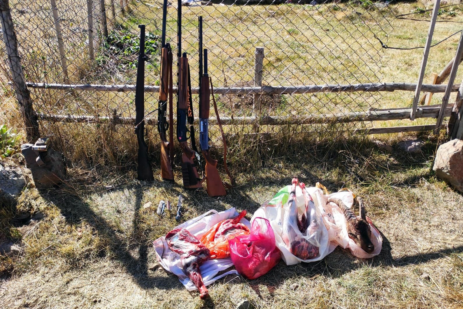 Artabel’de yaban keçisi avlayanlar suçüstü yakalandı 4